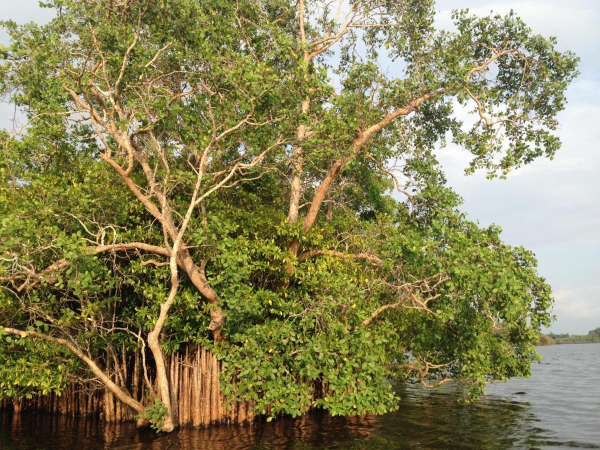 Lake Life Villa Ambalangoda  Esterno foto