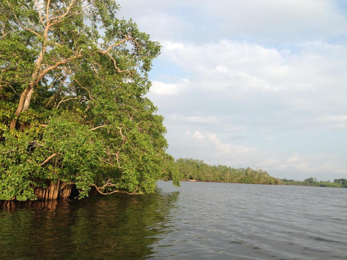 Lake Life Villa Ambalangoda  Esterno foto