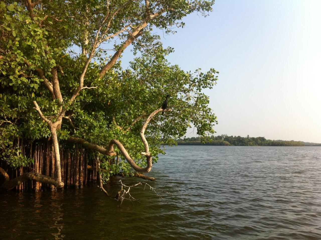 Lake Life Villa Ambalangoda  Esterno foto
