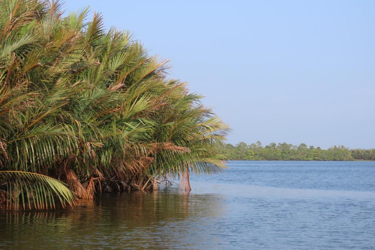 Lake Life Villa Ambalangoda  Esterno foto