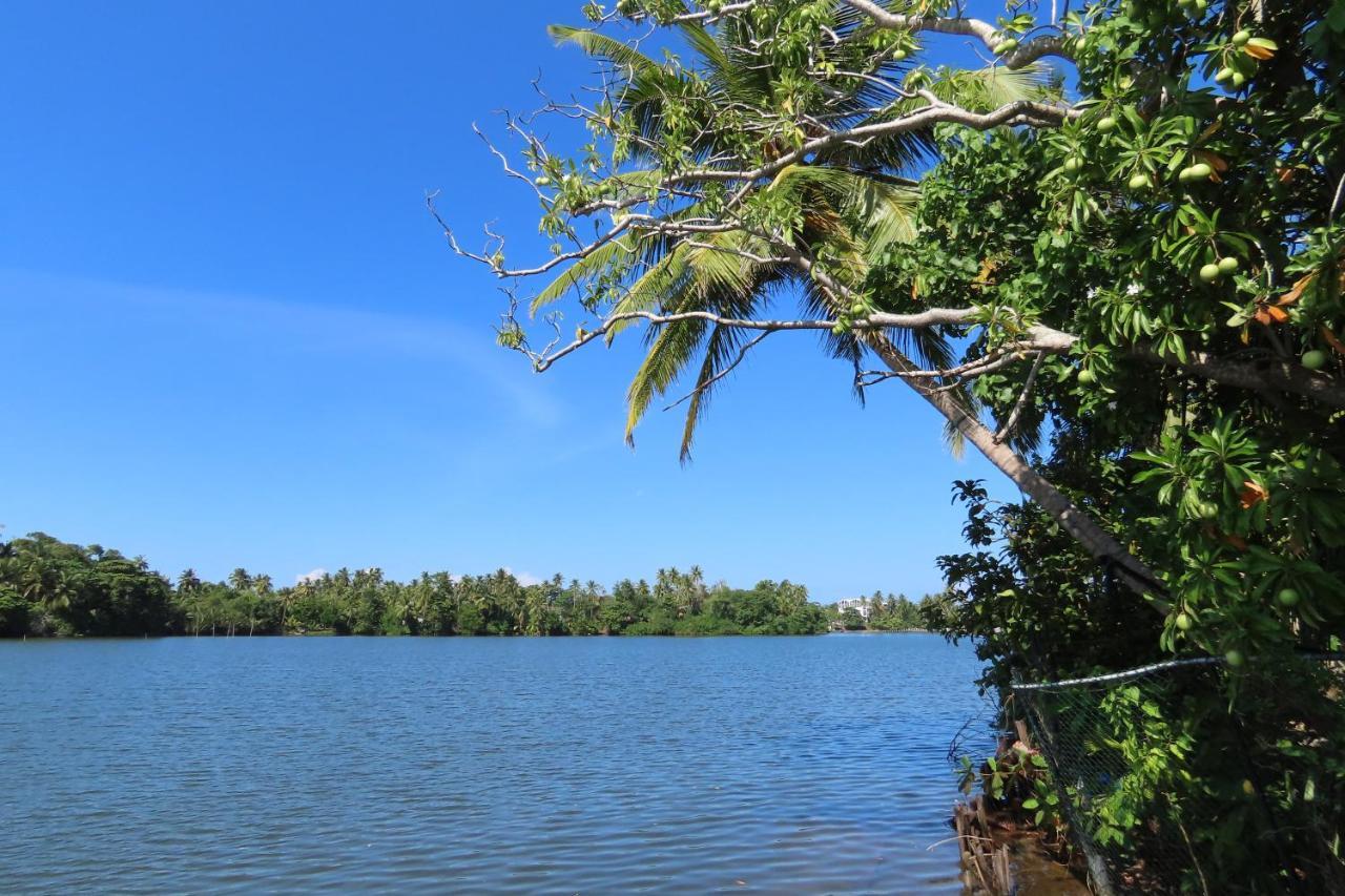Lake Life Villa Ambalangoda  Esterno foto